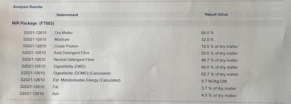 38mt Vetch Hay 550 Kg 8x4x3 bales