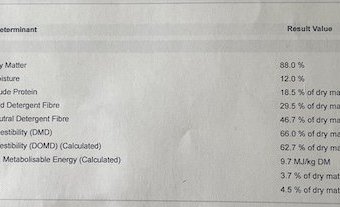 38mt Vetch Hay 550 Kg 8x4x3 bales