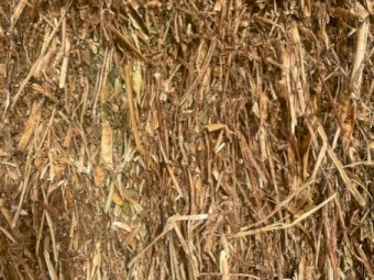 38mt Vetch Hay 550 Kg 8x4x3 bales