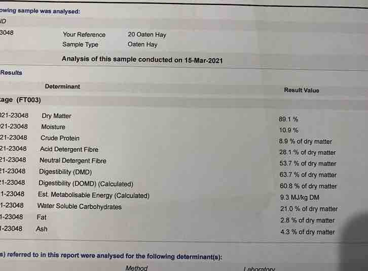 Good Quality Oaten Hay