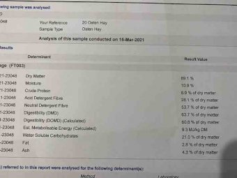 Good Quality Oaten Hay