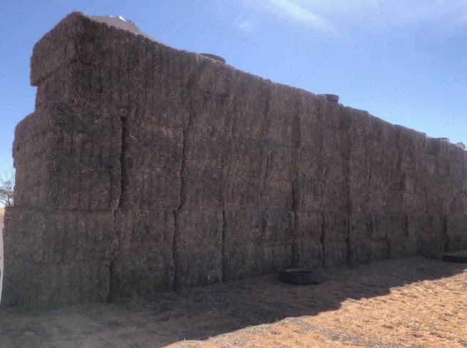 100mt Vetch Hay 600kg 8x4x3 Bales