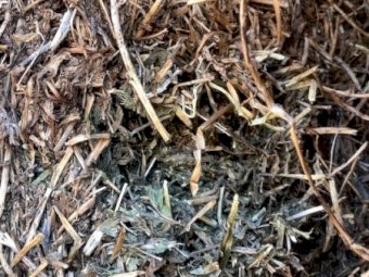 100mt Vetch Hay 600kg 8x4x3 Bales