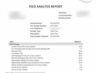 100mt Vetch Hay 600kg 8x4x3 Bales