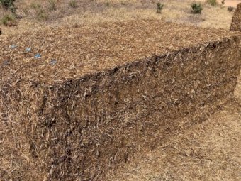 100mt Vetch Hay 600kg 8x4x3 Bales