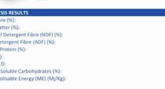 500mt Top Quality New Season Vetch Hay