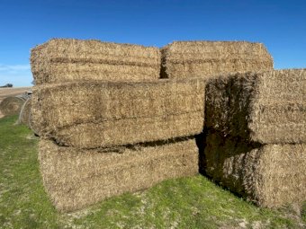 Barley Straw 8x4x3 Bales
