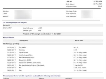 200mt Vetch Hay 620-650kg + 8x4x3 Bales (New Season)