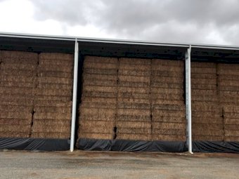 200mt Vetch Hay 620-650kg + 8x4x3 Bales (New Season)