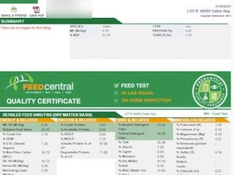 Oaten Hay 550kg 8x4x3 Bales