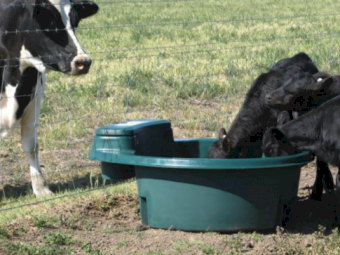 Master Tub Trough 1,200ltr