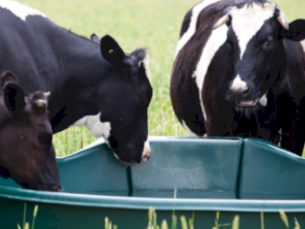 Master Tub Trough 1,200ltr