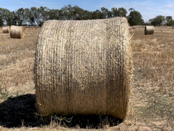 50 x Oaten Hay Rounds
