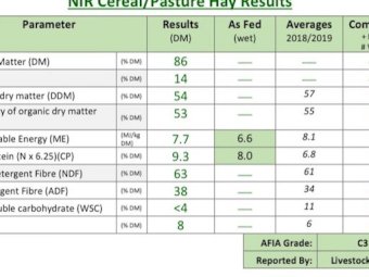 50 x Oaten Hay Rounds