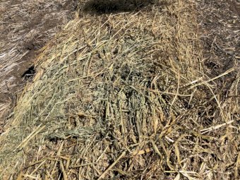 50 x Oaten Hay Rounds
