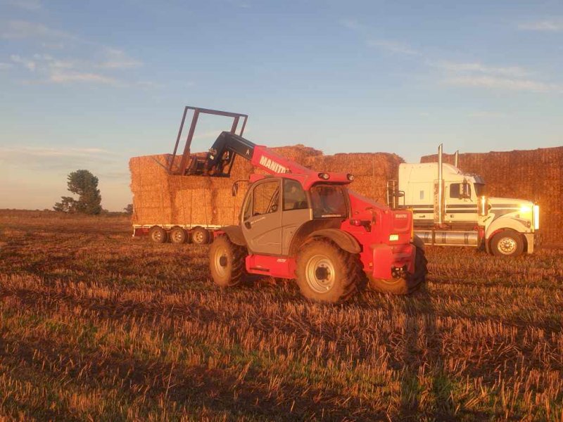 Oaten Hay $80 bucks a tonne, Free to Bonafide Flood Victims