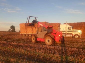 Oaten Hay $80 bucks a tonne, Free to Bonafide Flood Victims