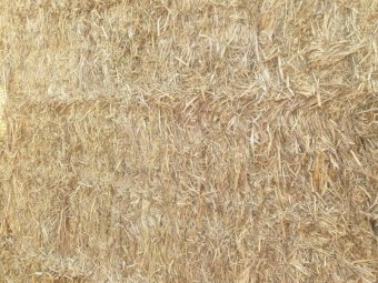 Oaten Hay $80 bucks a tonne, Free to Bonafide Flood Victims