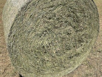 Prime Lucerne Silage Rolls