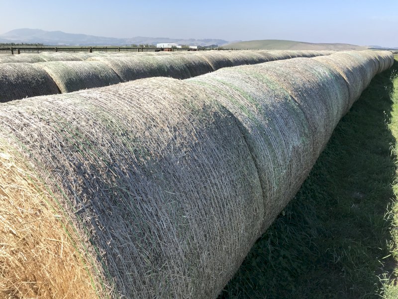 Pasture Hay Rolls Farm Tender