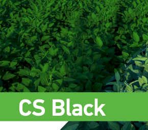 CS Black Liquid Fertliiser