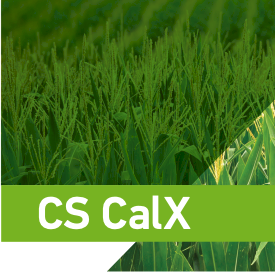CS Calx Liquid Fertiliser