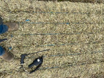 160mt Oaten Vetch Hay 580-600kg 8x4x3 Bales + Freight