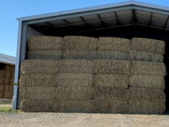 160mt Oaten Vetch Hay 580-600kg 8x4x3 Bales + Freight