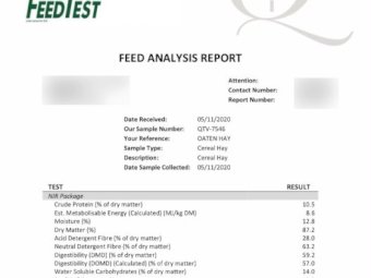 160mt Oaten Vetch Hay 580-600kg 8x4x3 Bales + Freight