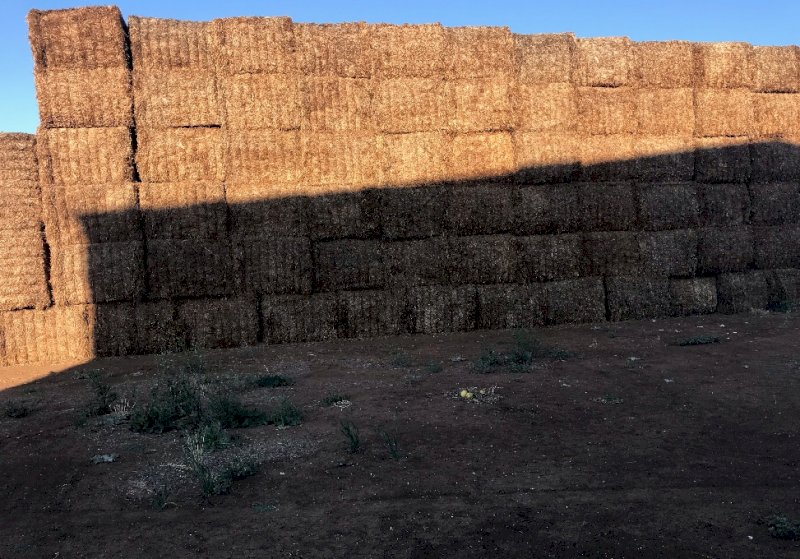 80mt Vetch Hay 600kg 8x4x3 Bales
