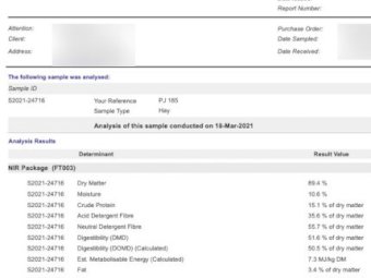 80mt Vetch Hay 600kg 8x4x3 Bales