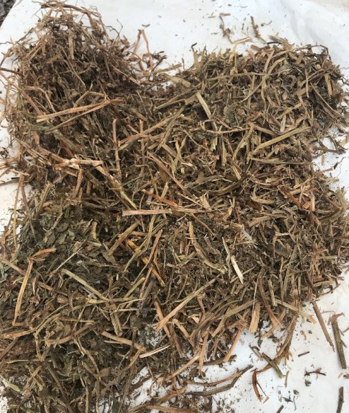 500mt Vetch Hay 620-650kg + 8x4x3 Bales (New Season)