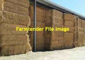 2019 Wheaten Hay 8x4x3 Bales