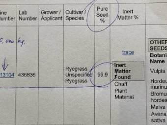 9mt Premium Italian Ryegrass Seed