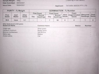 9mt Premium Italian Ryegrass Seed