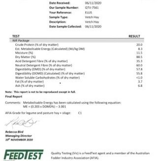 300mt Vetch Hay 500kg 8x4x3 Bales