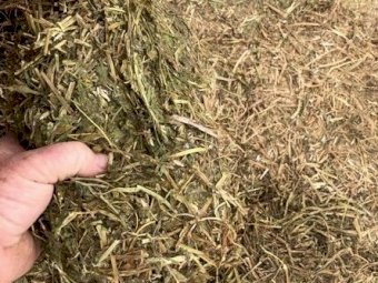 300mt Vetch Hay 500kg 8x4x3 Bales
