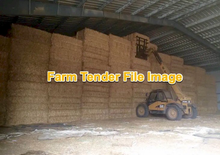 Barley Hay 650kg 8x4x3 Bales