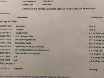 120t Oaten Hay 8x4x3 Bales