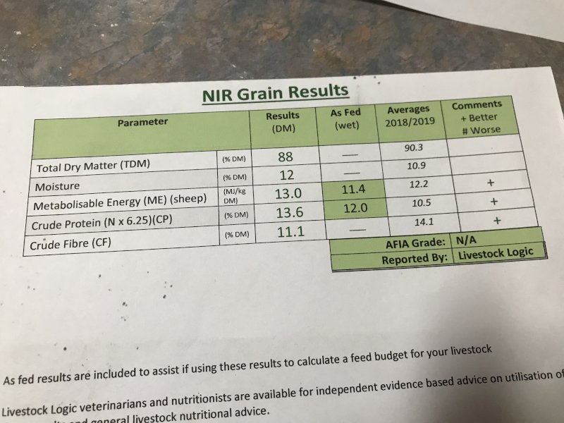 200mt Certified Organic Feed Oats