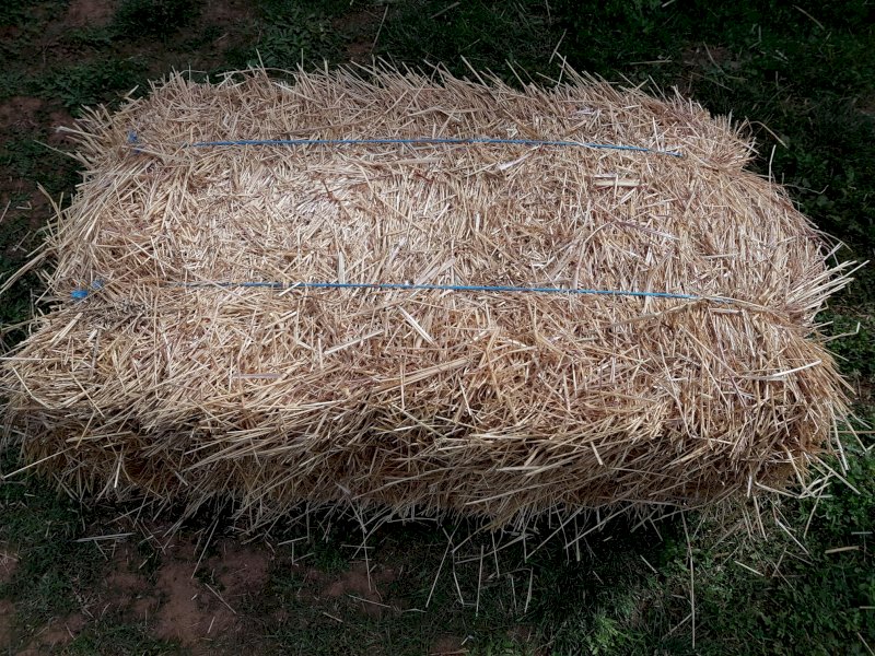 Oaten/Rye  Grass Hay