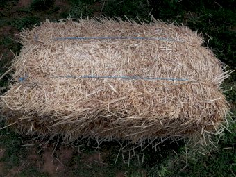 Oaten/Rye  Grass Hay