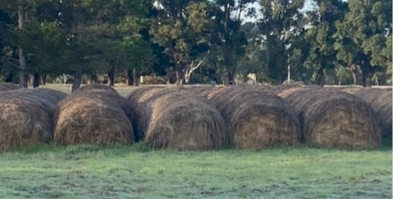 Cheap Rye/Clover Hay Rolls