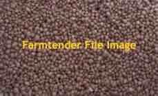 44 m/t DAP For Sale Ex Geelong