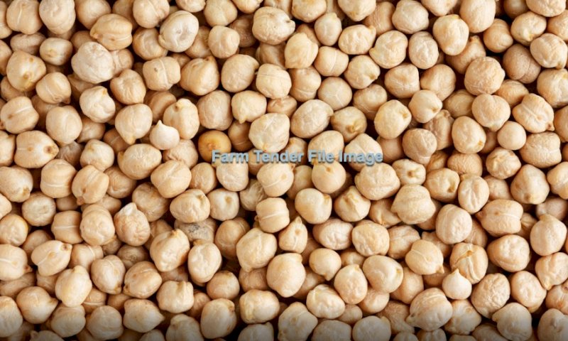 WANTED Captain Chickpea