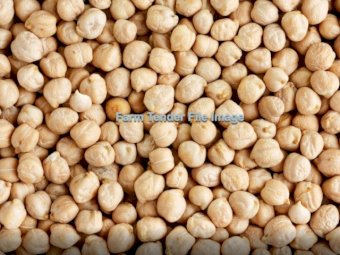 WANTED Captain Chickpea