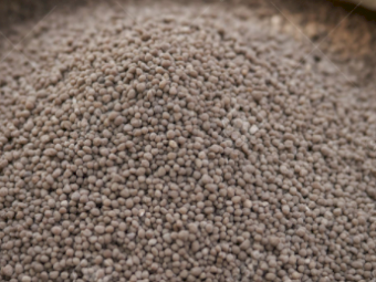 DAP - Ex Geelong - 68mt Available. Save $30.00 per mt + GST below the current market price