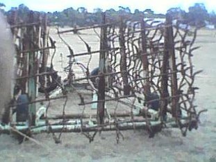 David Shearer 11 Section Hydraulic Harrows