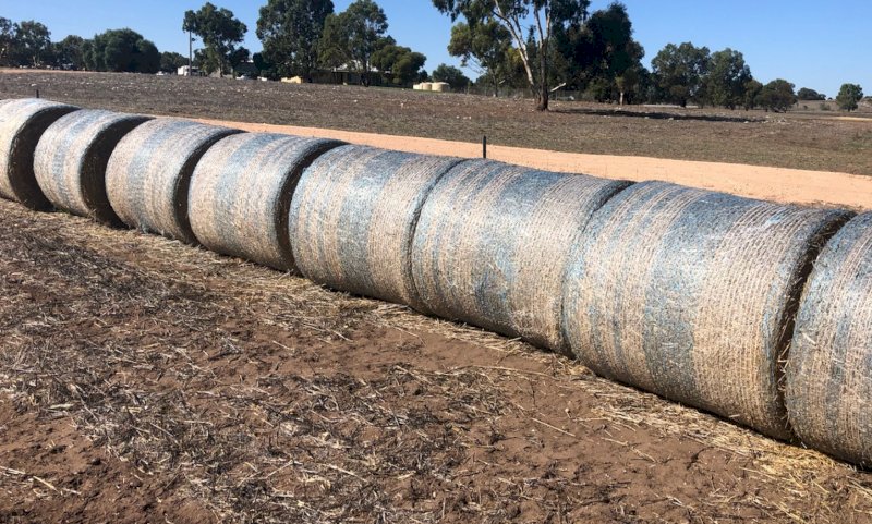 Oaten Hay Rolls