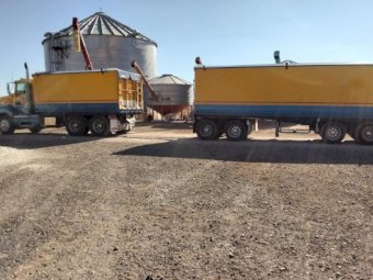 2002 Kenworth T401 Truck & Quad Dog Trailer